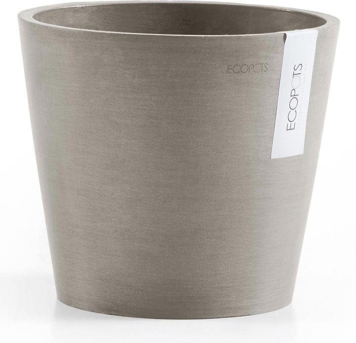 Grigio francese