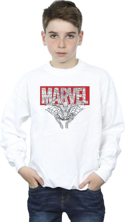 Actual product image Boys Spider Man Logo Red Sweatshirt (140, 146)