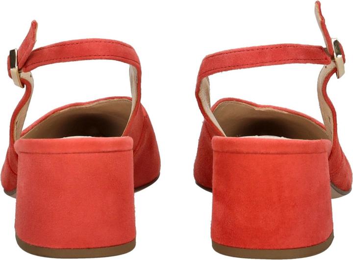 Immagine prodotto Högl Pumps (39)