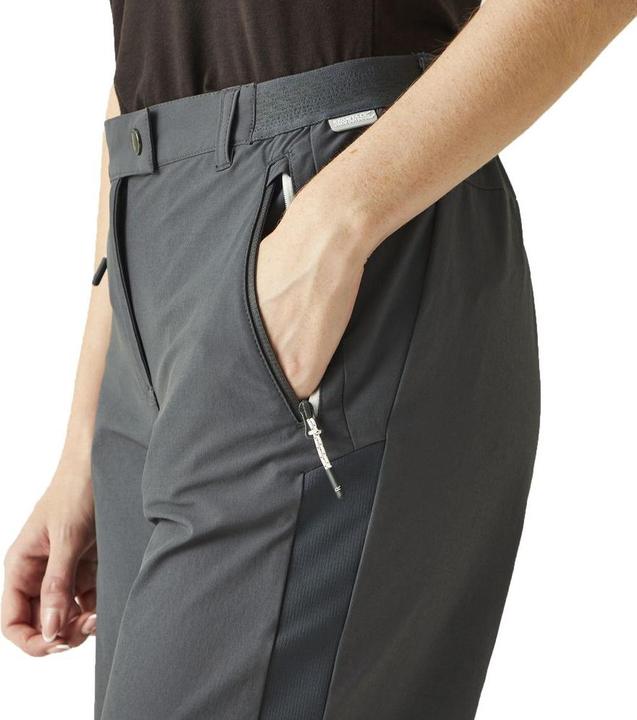 Actual product image Regatta Mountain Shorts II (L)