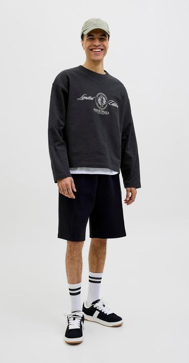 Image du produit Jack & Jones Jordia Sweat Crew Neck Ss25 (S)