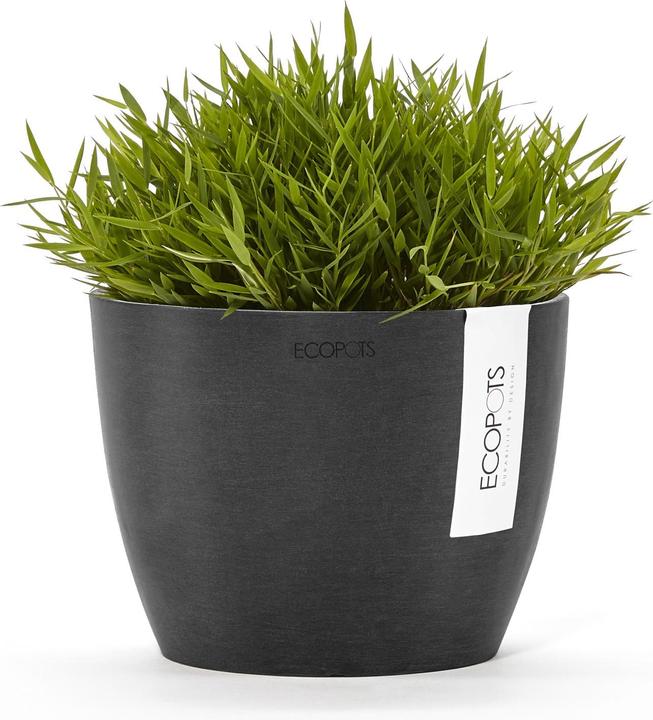 Actual product image Ecopots Stockholm (16 cm)