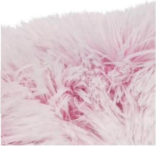 Actual product image Trixie Harvey (Dog)