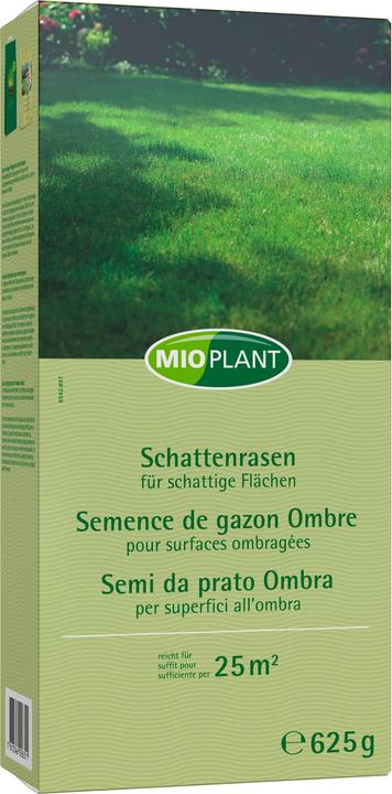 Mioplant Schattenrasen, 25 m2 (Risemina del prato)