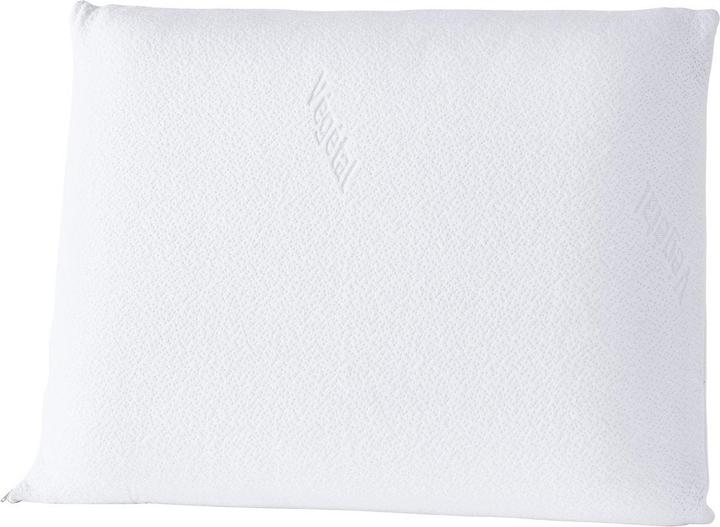Image du produit La Redoute Interieurs Oreiller (45 x 70 cm)