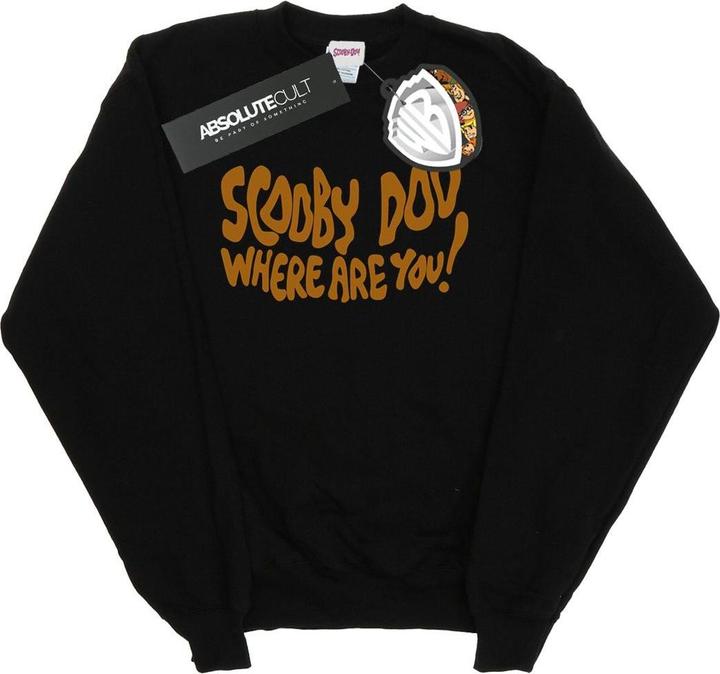 Produktbild Scooby Doo Where Are You Spooky Sweatshirt (S)