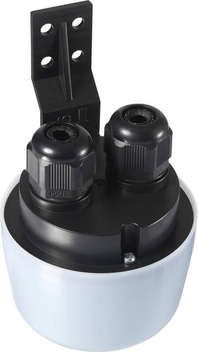 Actual product image Sygonix SY-5836544 Twilight switch White, black 230 V/AC 1 NO contact