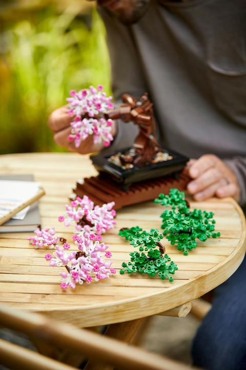 Image du produit LEGO Bonsaï (10281, LEGO Botanical, LEGO Icons)