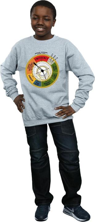 Actual product image Fantastic Beasts Boys Threat Level Sweatshirt (140, 146)
