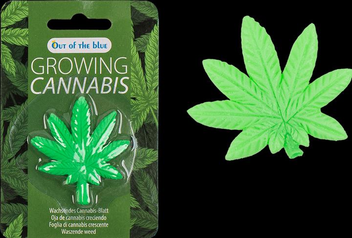 Out of the blue Wachsendes Cannabisblatt