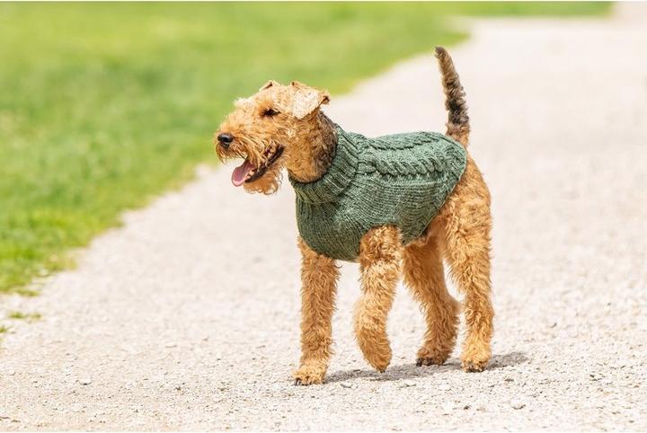 Image du produit Chiara Jade (30, Pull-over pour chien)