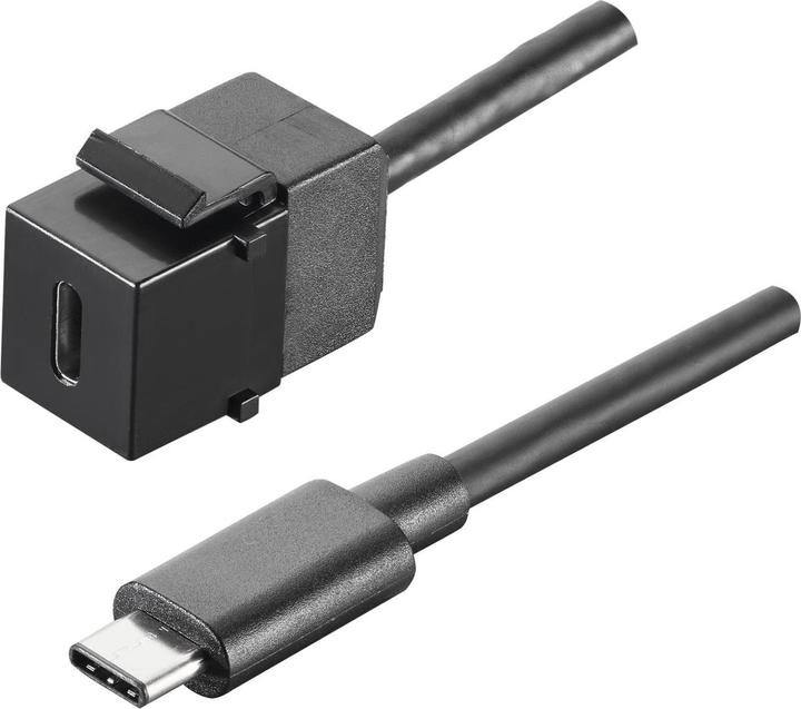 Bachmann USB 3.1 Type C Keystone Module (0.50 m, USB 3.1)