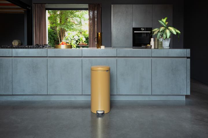 Actual product image Brabantia newIcon (30 l)