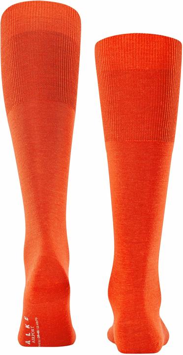 Immagine prodotto Falke Airport KH (Confezione singola, 39 - 40)