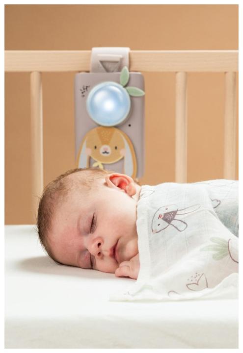 Produktbild Taf Toys Beruhigendes Babyset Hase