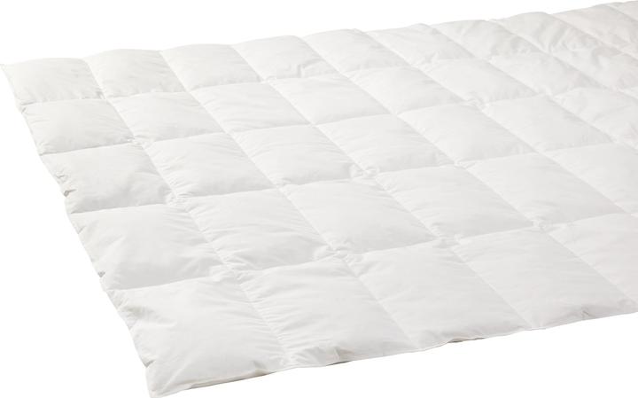 Produktbild micasa Primadaun (800 g, 160 x 210 cm)