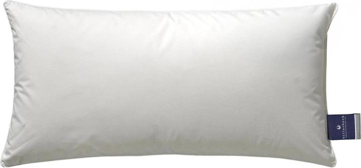 Actual product image Billerbeck Down 3-chamber pillow Nena (60 x 80 cm)