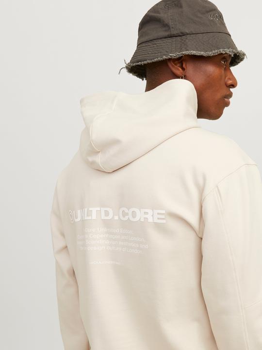 Image du produit Jack & Jones Jcoaero Print Sweat Hood Noos (L)