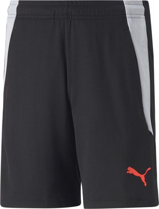 Puma teamLIGA Training Shorts2 Jr