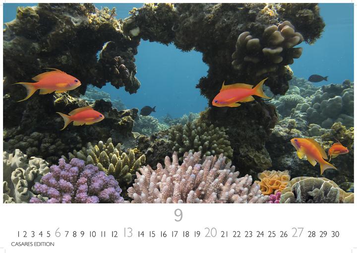 Image du produit Unterwasserwelten 2026 S 24x35cm (24 x 35 cm, Allemand)