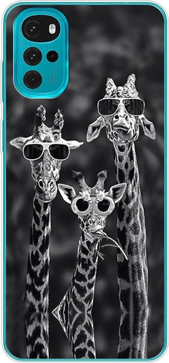 3 giraffes