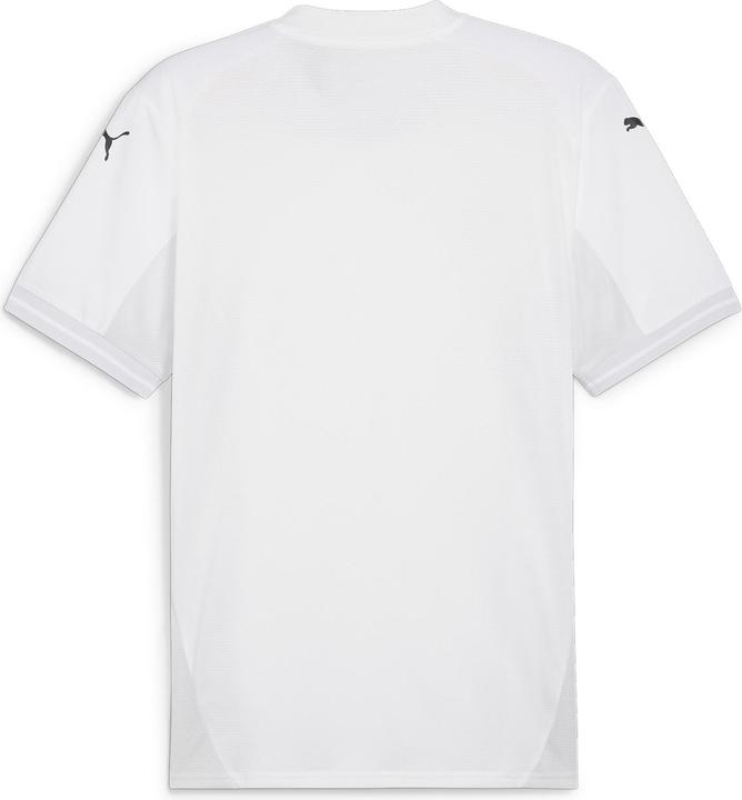 Actual product image Puma teamFINAL Jersey (M)