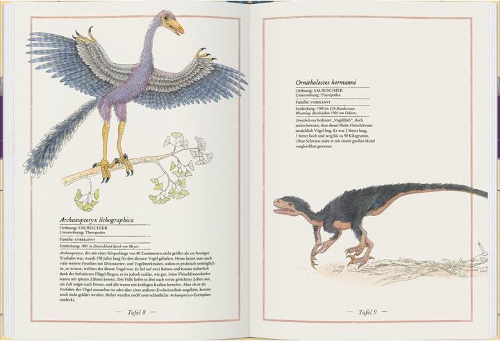 Image du produit Triceratops, T-Rex, Supersaurus (Allemand, Emmanuelle Tchoukriel, Virginie Aladjidi, 2022)