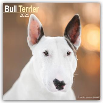 Actual product image Avonside Publishing Ltd:Bull Terrier - (305 x 305 mm, German)