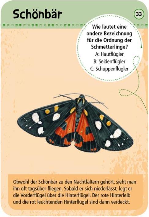 Produktbild 50 heimische Schmetterlinge (Deutsch)