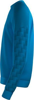Image du produit Erima Sweat-shirt Evo Star (164)
