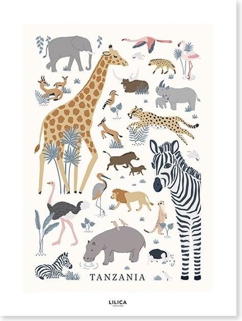 Image du produit Lilipinso Poster, Animaux de la jungle (30 x 40 cm)