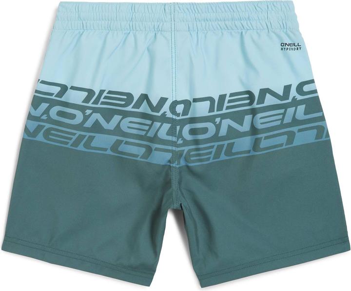 Produktbild O'Neill Cali Stripe 14" Swimshorts (128)