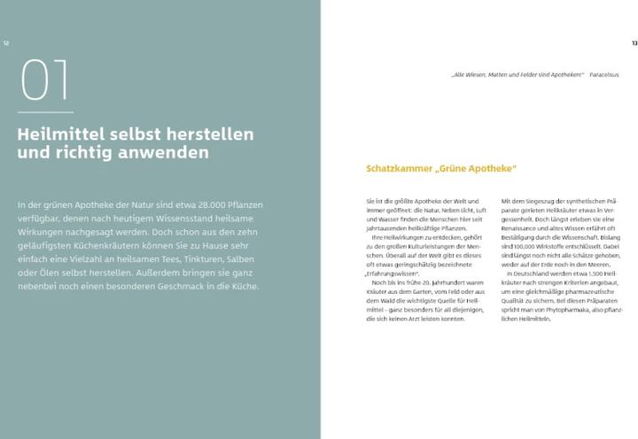 Actual product image 10 Kräuter gegen 100 Krankheiten (German, Franciska Ruby, Gudrun Strigin, 2021)