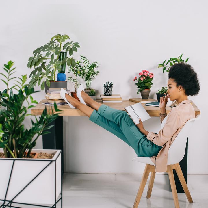 Produktbild Relaxdays Tonspitzen Bewässerung (Tonkegel)