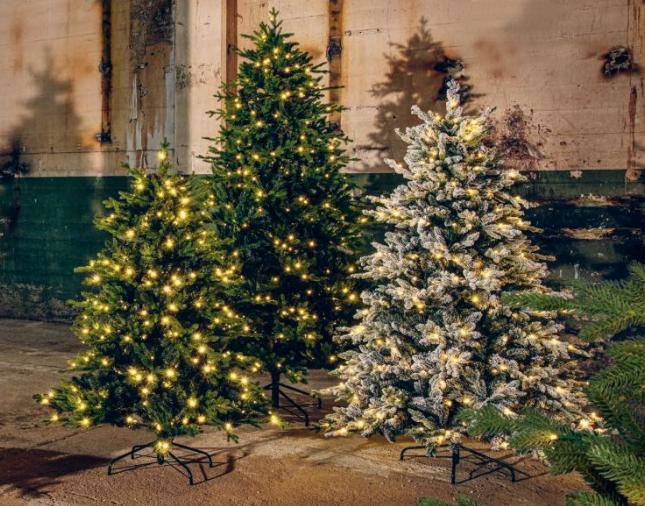 Actual product image STT Tree (180 cm)