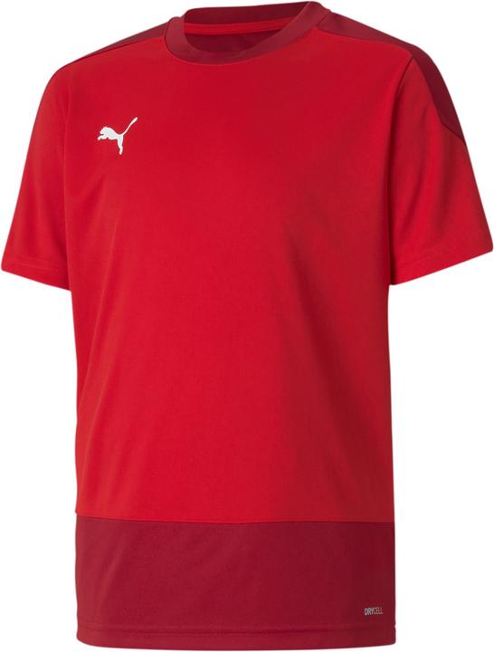 Puma teamGOAL 23 TRG Jersey Jr-656569 (152)