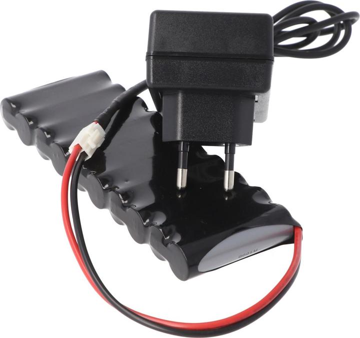 Immagine prodotto AccuCell Caricatore per batteria Roto ZEL 12 Volt RT2 SF G2