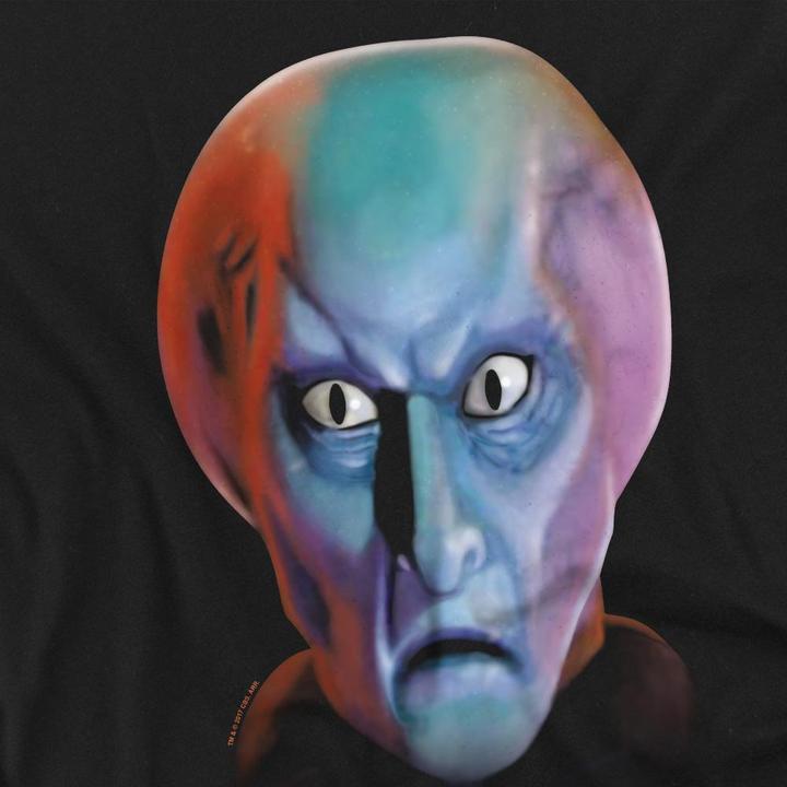 Actual product image Unisex Adult Balok Head T-Shirt (L)