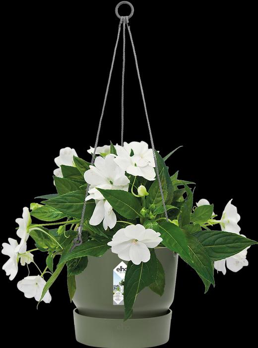 Immagine prodotto Elho Lampada a sospensione Greenville (24 cm)