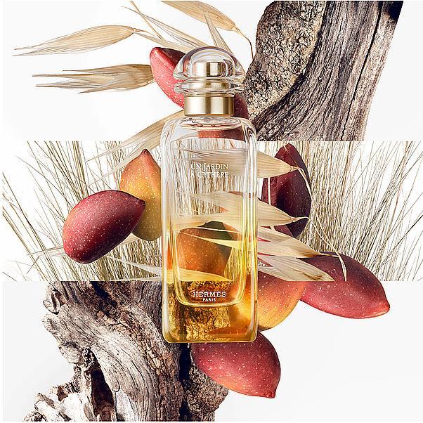 Produktbild Hermès Eau de Toilette (Eau de Toilette, 100 ml)