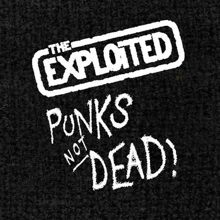 Actual product image Universal Textiles Punks Not Dead Embroidered Wristband (One size)
