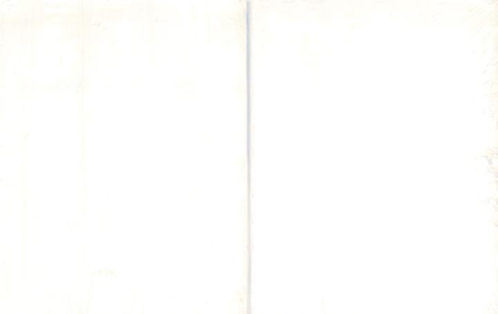 Produktbild Reina Glycerinseifenblock transparent unparfümiert (Hartseife, 907.50 ml)