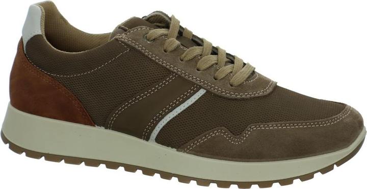 Beige, 30426, 013 safari