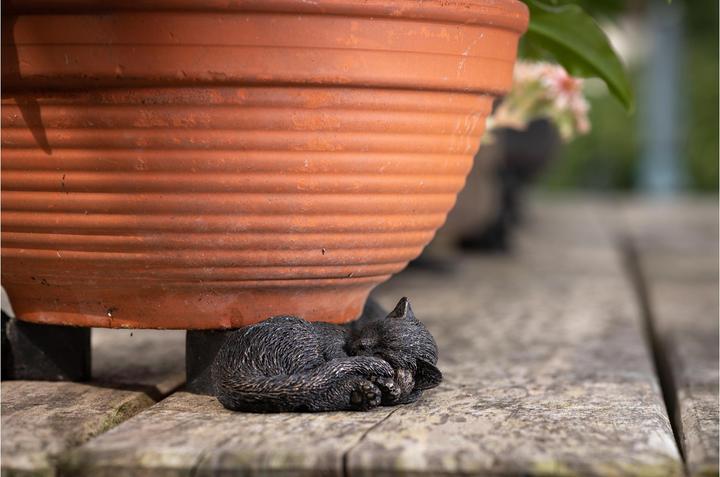 Immagine prodotto Jardinopia Piedi di vaso per piante Piedi di vasino per gatti addormentati, set da 3