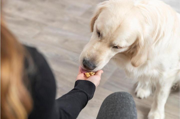 Produktbild Trixie Backmatte mit Knochen (Beschäftigungsspielzeug Hund)