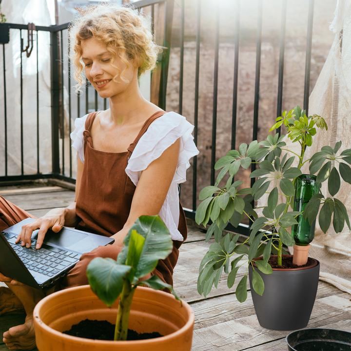 Actual product image Relaxdays Watering spikes (Clay cone)