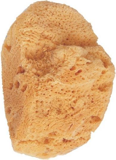 Produktbild Beter Small Natural Sea Sponge Natürlicher Seeschwamm.