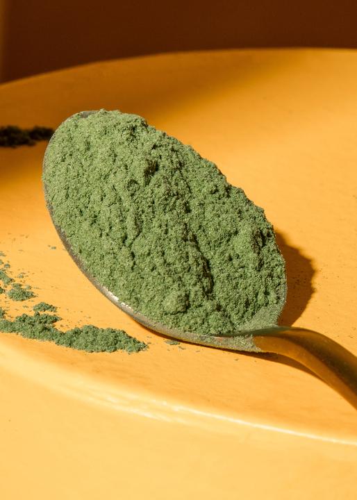 Immagine prodotto KoRo Polvere di erba di grano biologica (500g) (1 Pezzo/i, Polvere, 500 g)