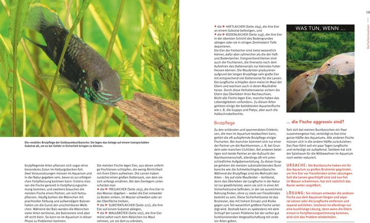 Produktbild Das grosse Praxishandbuch Aquarium (Deutsch, Ulrich Schliewen, 2017)