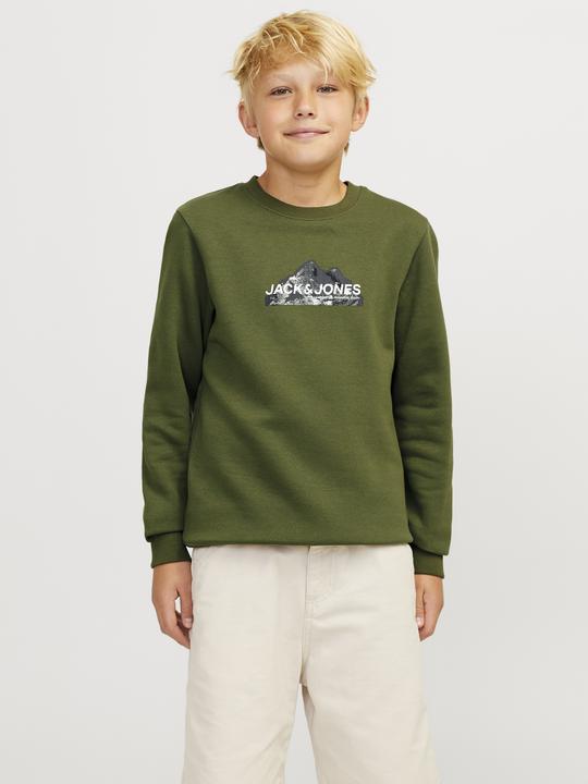 Actual product image Jack & Jones Jcomountain Logo Sweat Crew Neck Sn Jnr (164)
